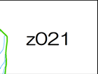 z021