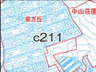 c211