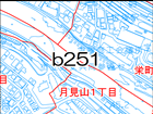 b251