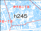 h245