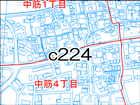 c224